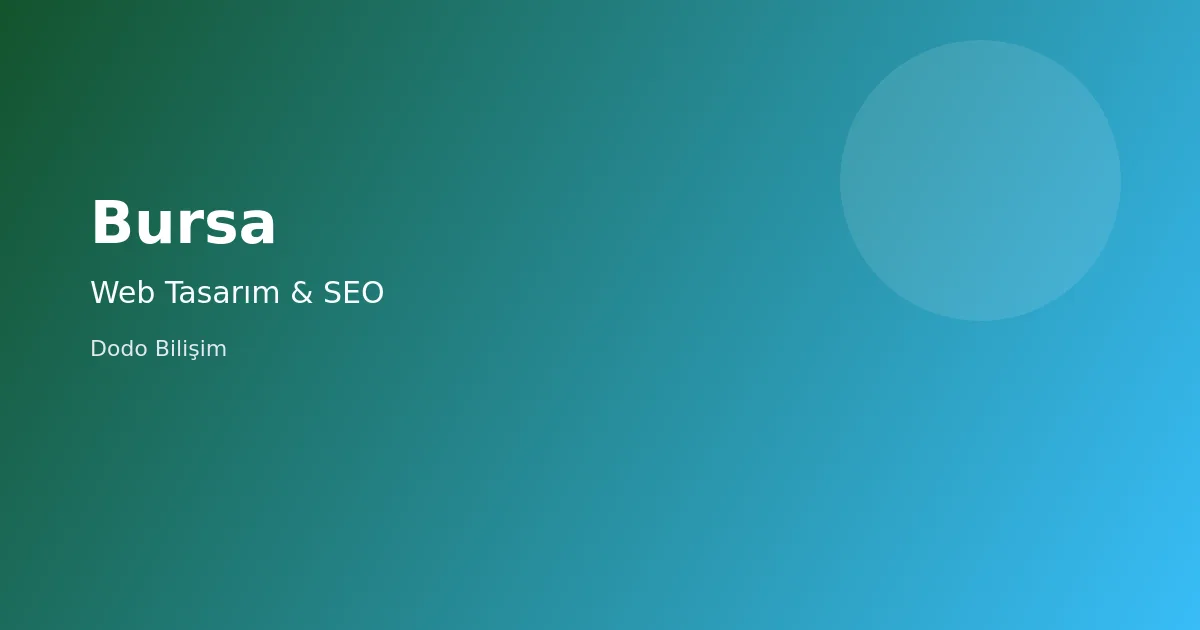 Nilüfer web tasarım, SEO ve kurumsal web sitesi hizmetleri